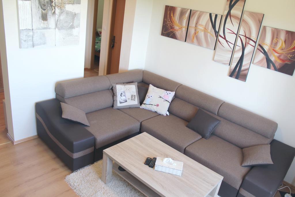 Pine Wood Apartment Vyšné Ružbachy Rum bild
