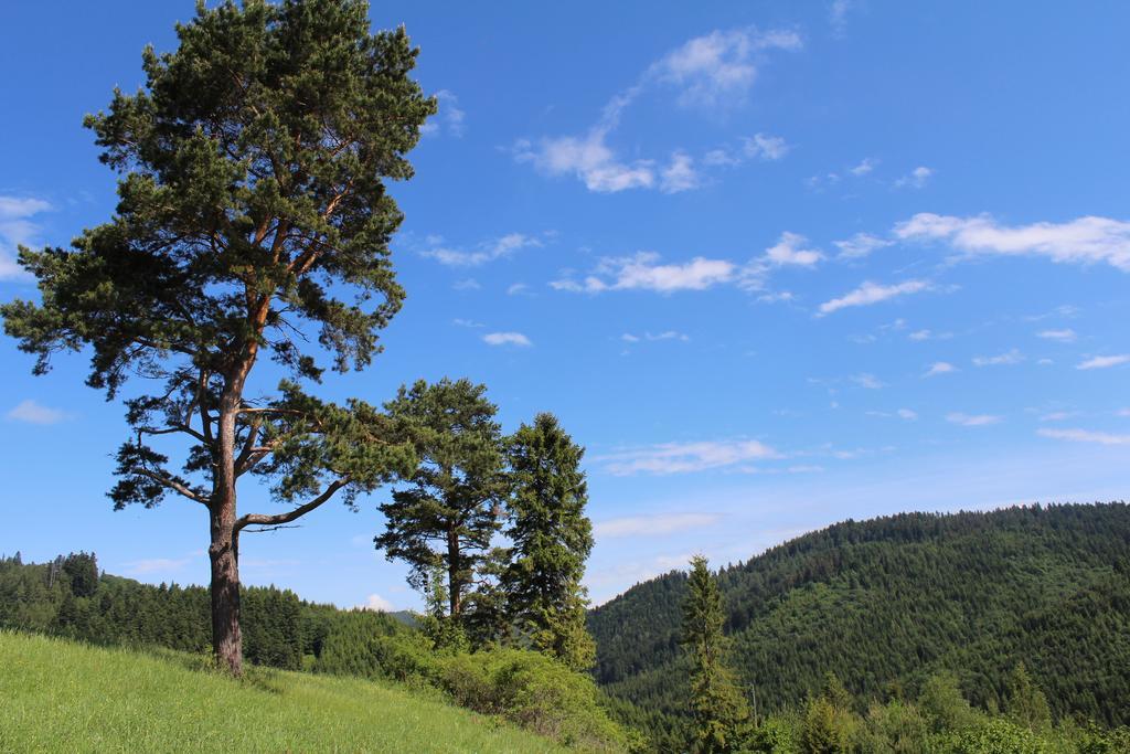 Pine Wood Apartment Vyšné Ružbachy Exteriör bild